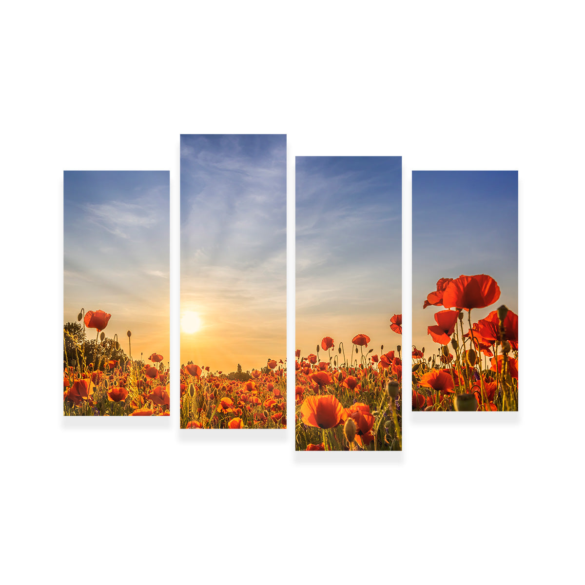 Poppy Field in Sunset  Wall Art