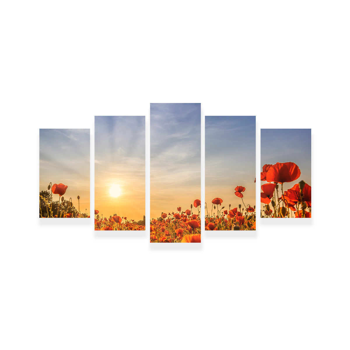 Poppy Field in Sunset  Wall Art