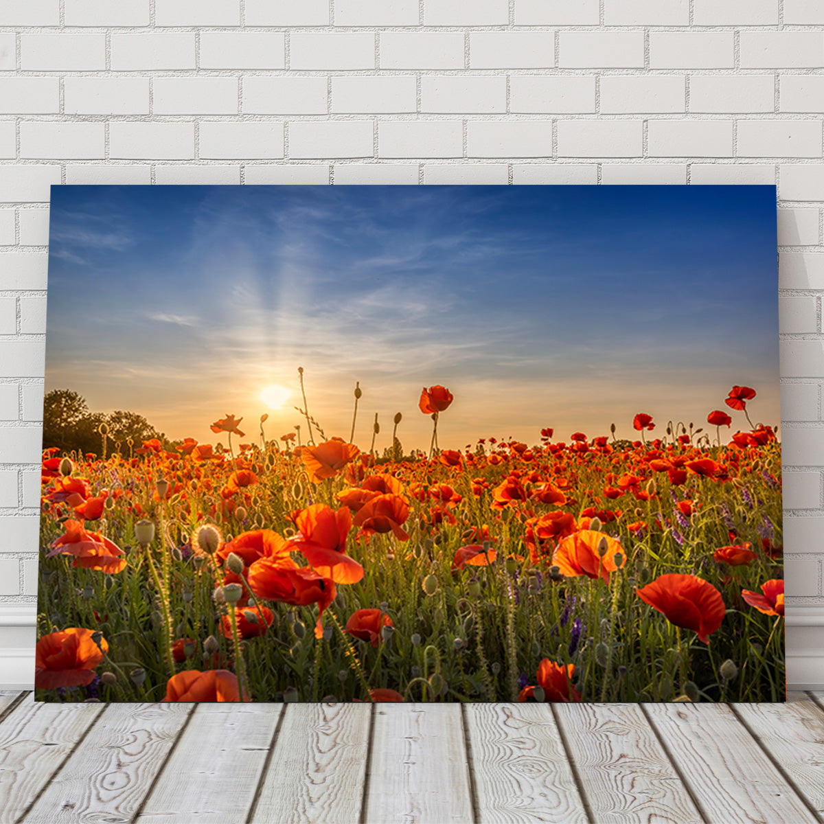 Poppy Idyll in Sunset Wall Art