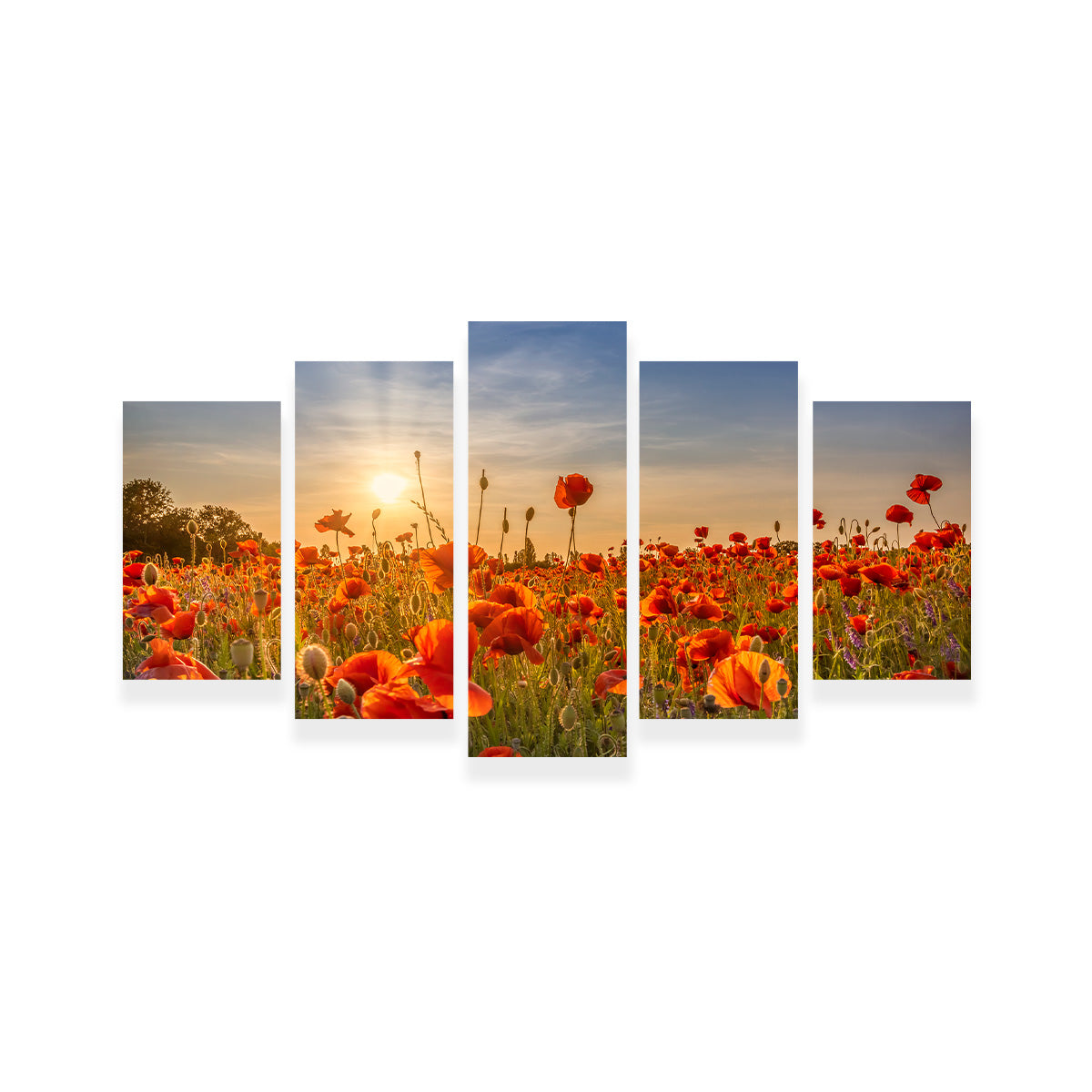Poppy Idyll in Sunset Wall Art