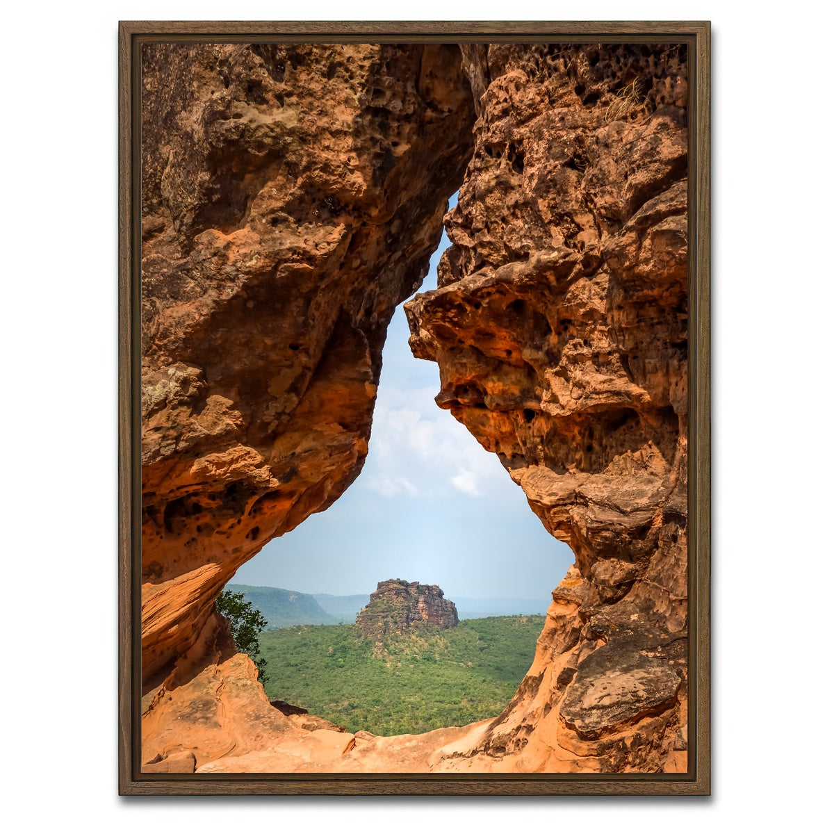 AUTO-MOCKUP WHITE | Portal to Cerrado | 1 Piece | Walnut Framed Canvas | group=3x4