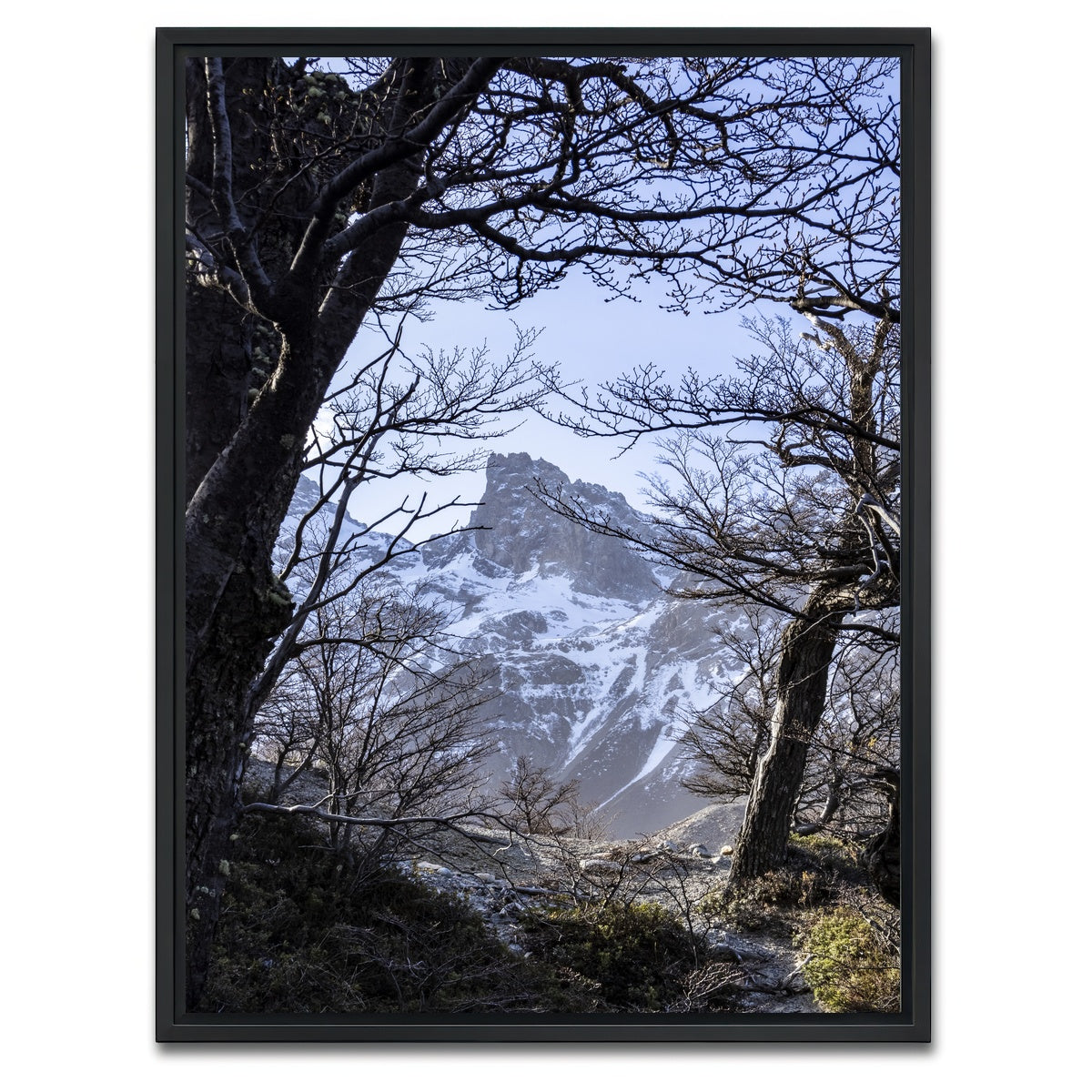 AUTO-MOCKUP WHITE | Portal to Patagonia | 1 Piece | Black Framed Canvas | group=3x4