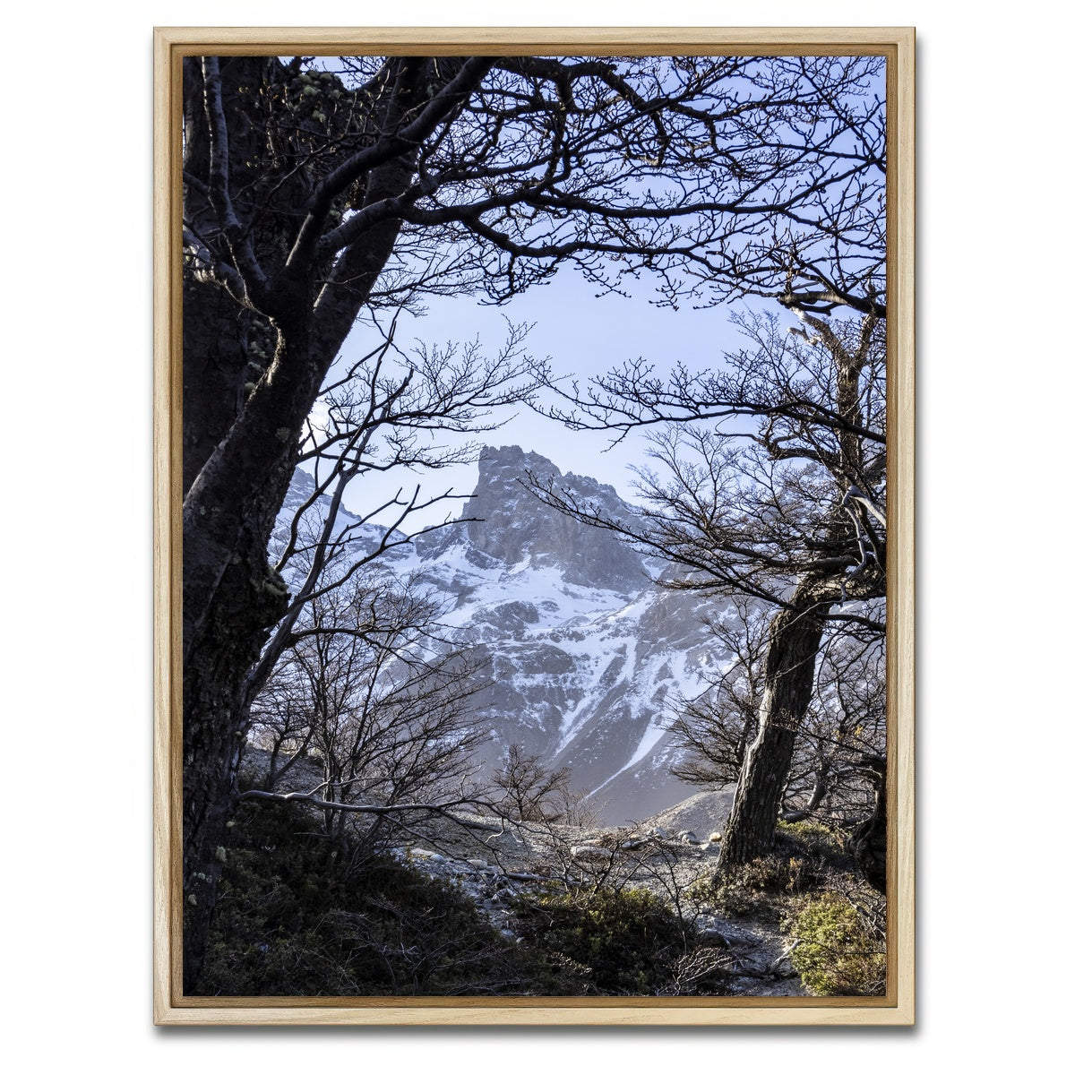 AUTO-MOCKUP WHITE | Portal to Patagonia | 1 Piece | Natural Framed Canvas | group=3x4