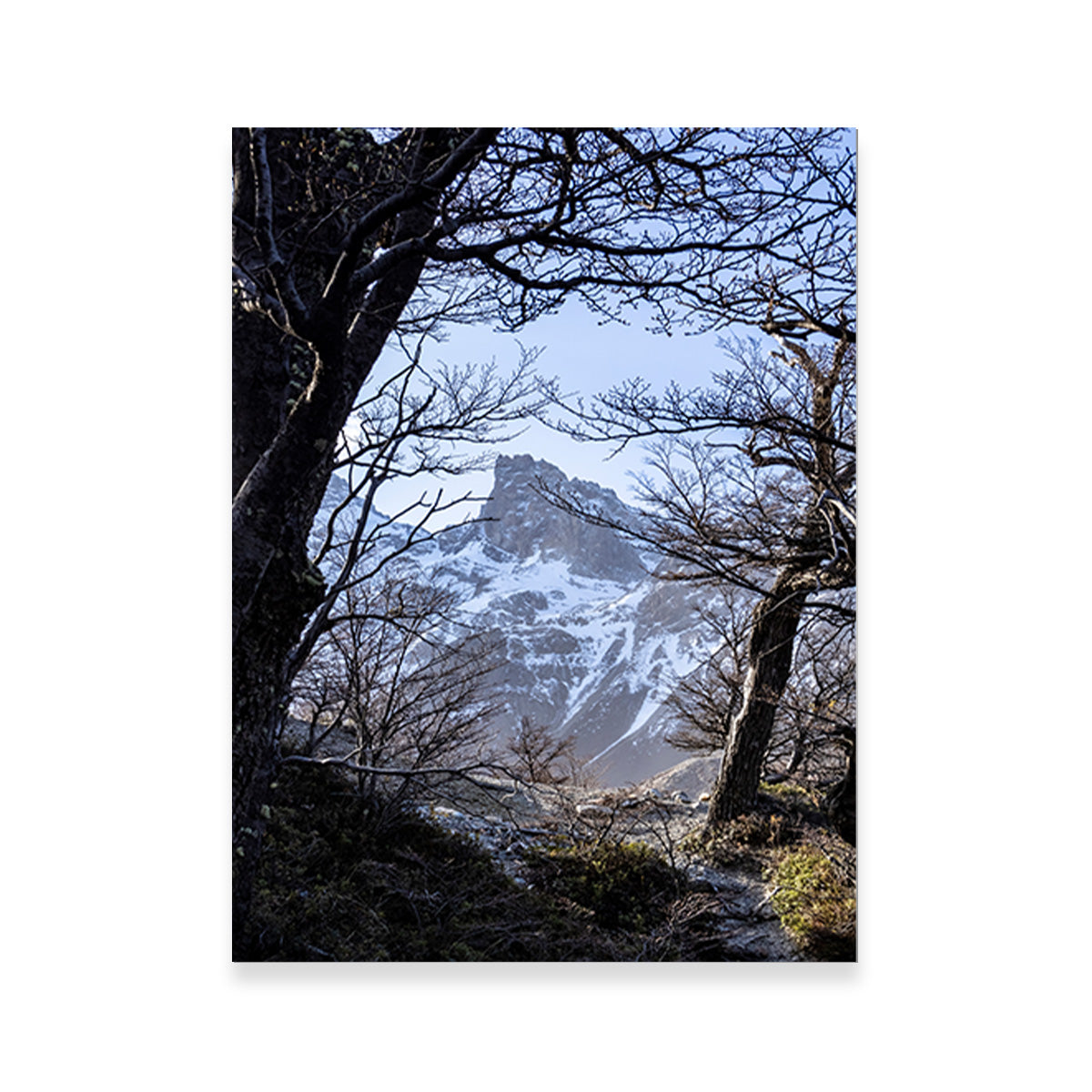 Portal to Patagonia Wall Art