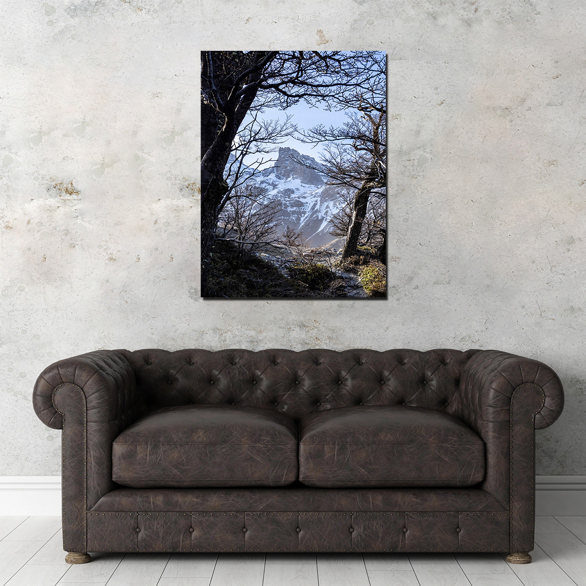 Portal to Patagonia Wall Art