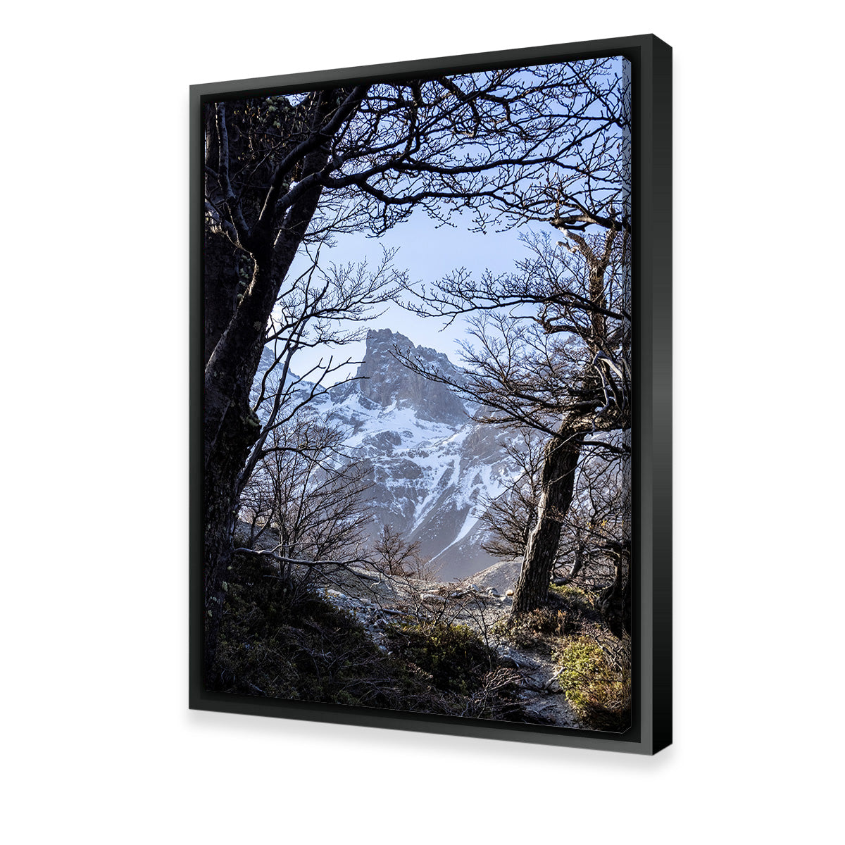 Portal to Patagonia Wall Art