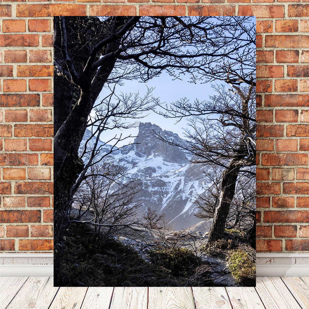 Portal to Patagonia Wall Art