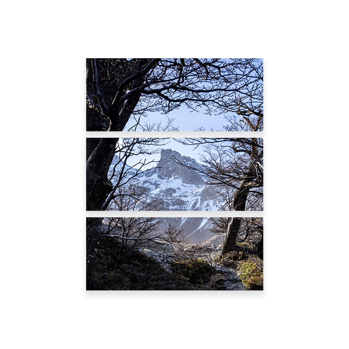 Portal to Patagonia Wall Art