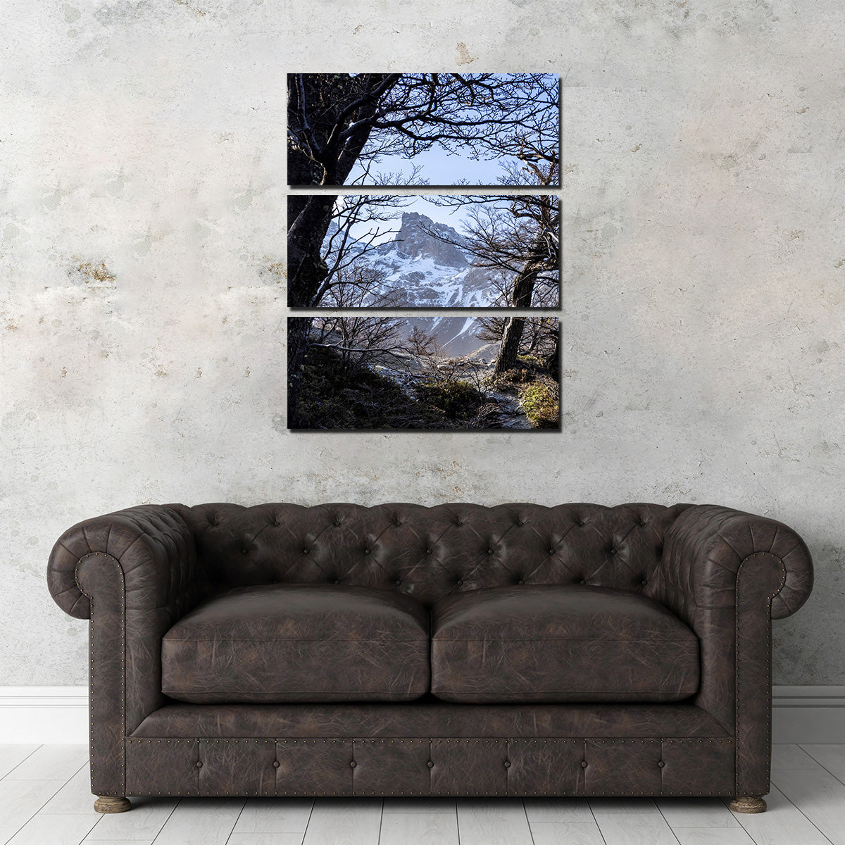 Portal to Patagonia Wall Art