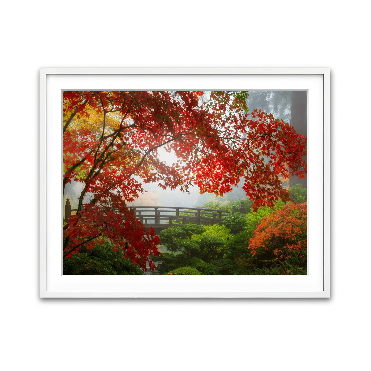 Framed Print 4x3 White