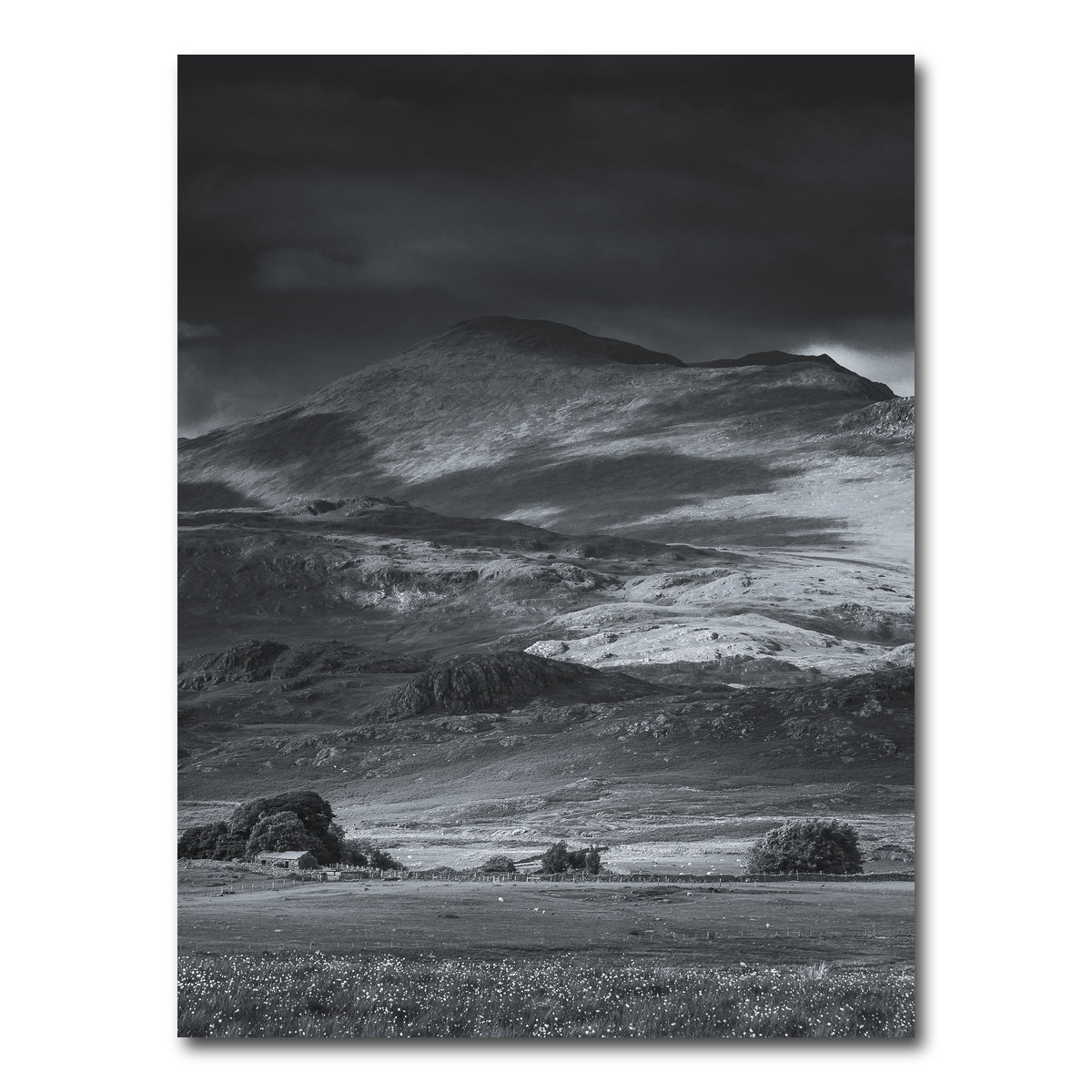 AUTO-MOCKUP WHITE | Prairie to Peak | 1 Piece | Gallery Wrap Canvas | group=3x4