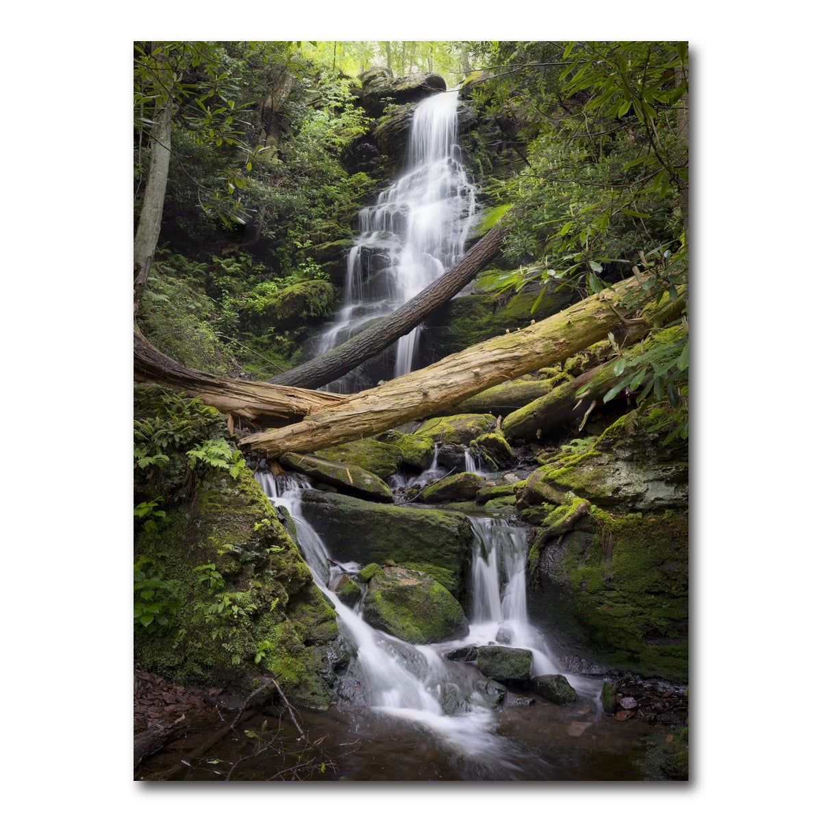 AUTO-MOCKUP WHITE | Pristine Habitat | 1 Piece | Gallery Wrap Canvas | group=3x4