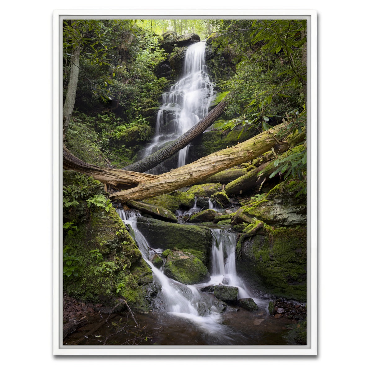 AUTO-MOCKUP WHITE | Pristine Habitat | 1 Piece | White Framed Canvas | group=3x4