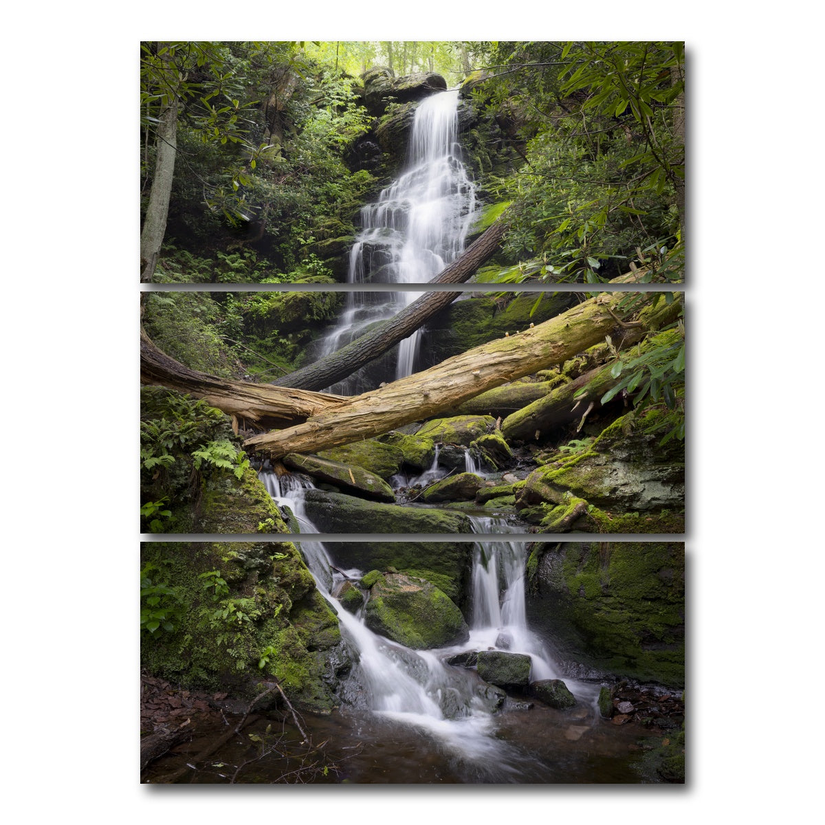 AUTO-MOCKUP WHITE | Pristine Habitat | 3 Piece | Gallery Wrap Canvas | group=8x18_stacked