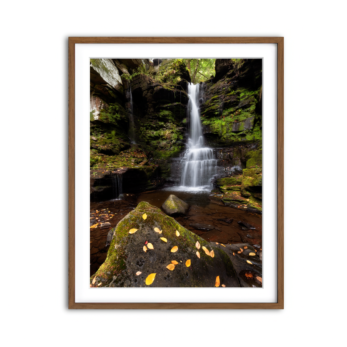 Framed Print 3x4 Walnut