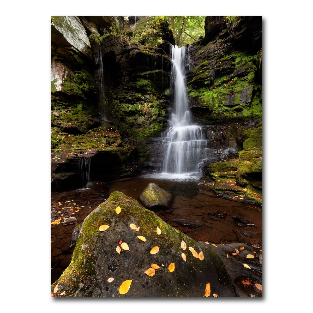 AUTO-MOCKUP WHITE | Private Property | 1 Piece | Gallery Wrap Canvas | group=3x4