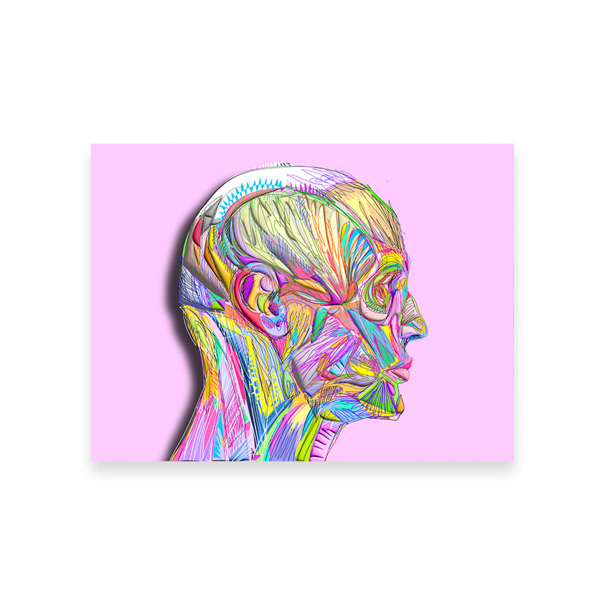 Profile Face Muscles Wall Art