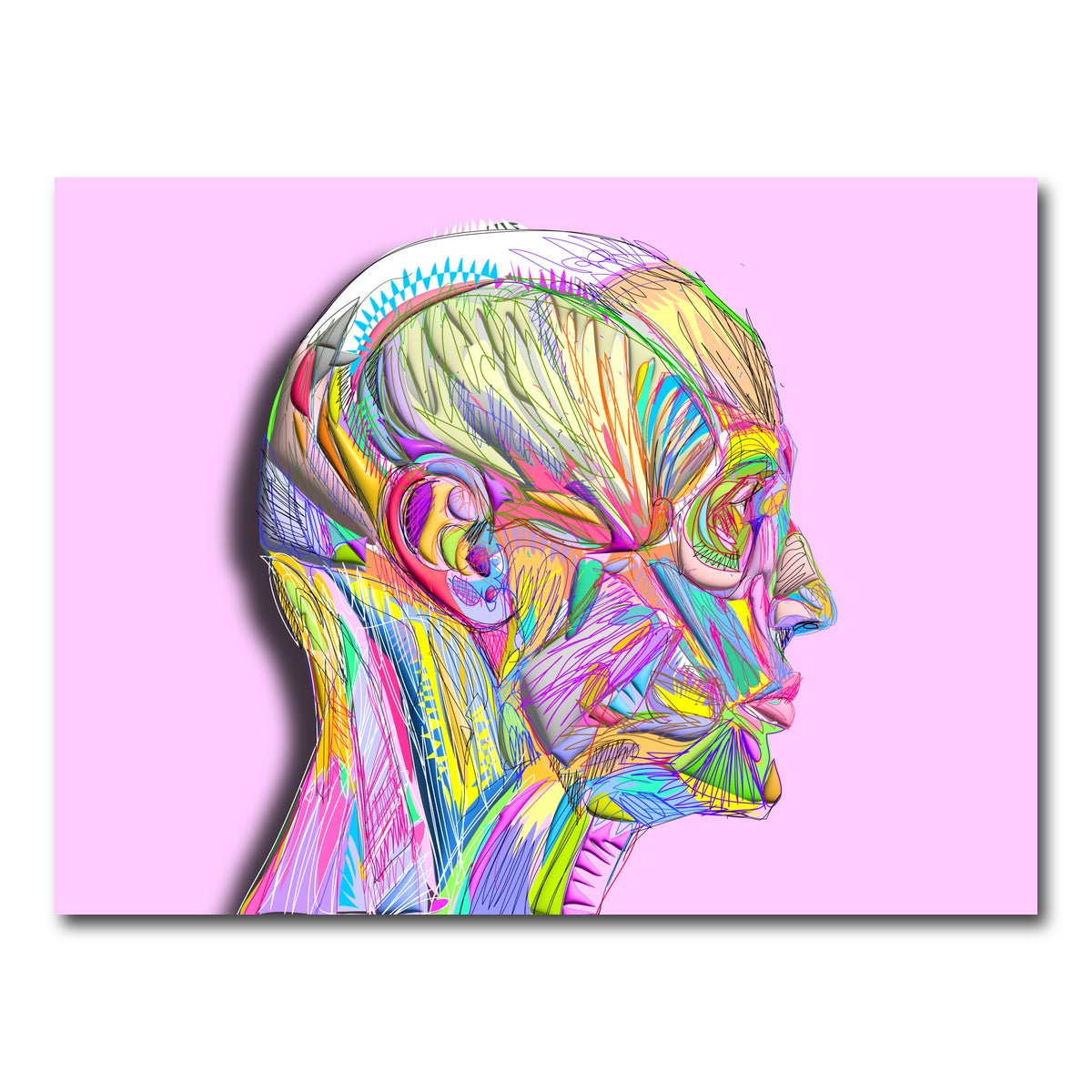 AUTO-MOCKUP WHITE | Profile Face Muscles | 1 Piece | Gallery Wrap Canvas | group=4x3