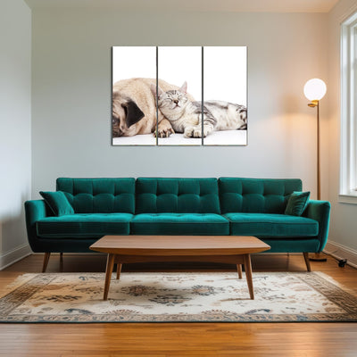 AUTO-MOCKUP ROOM | Pug and Cat