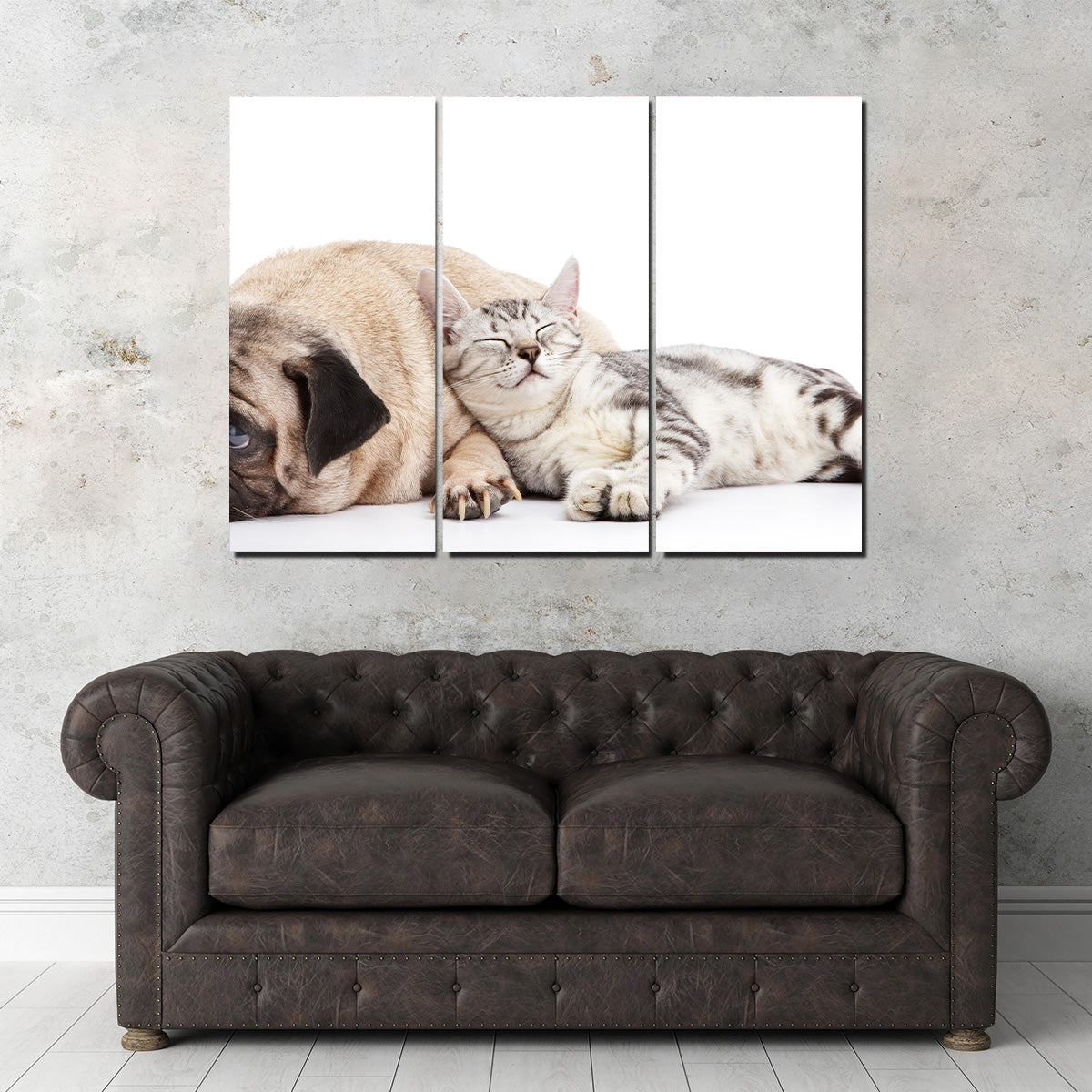 Pug and Cat Wall Art