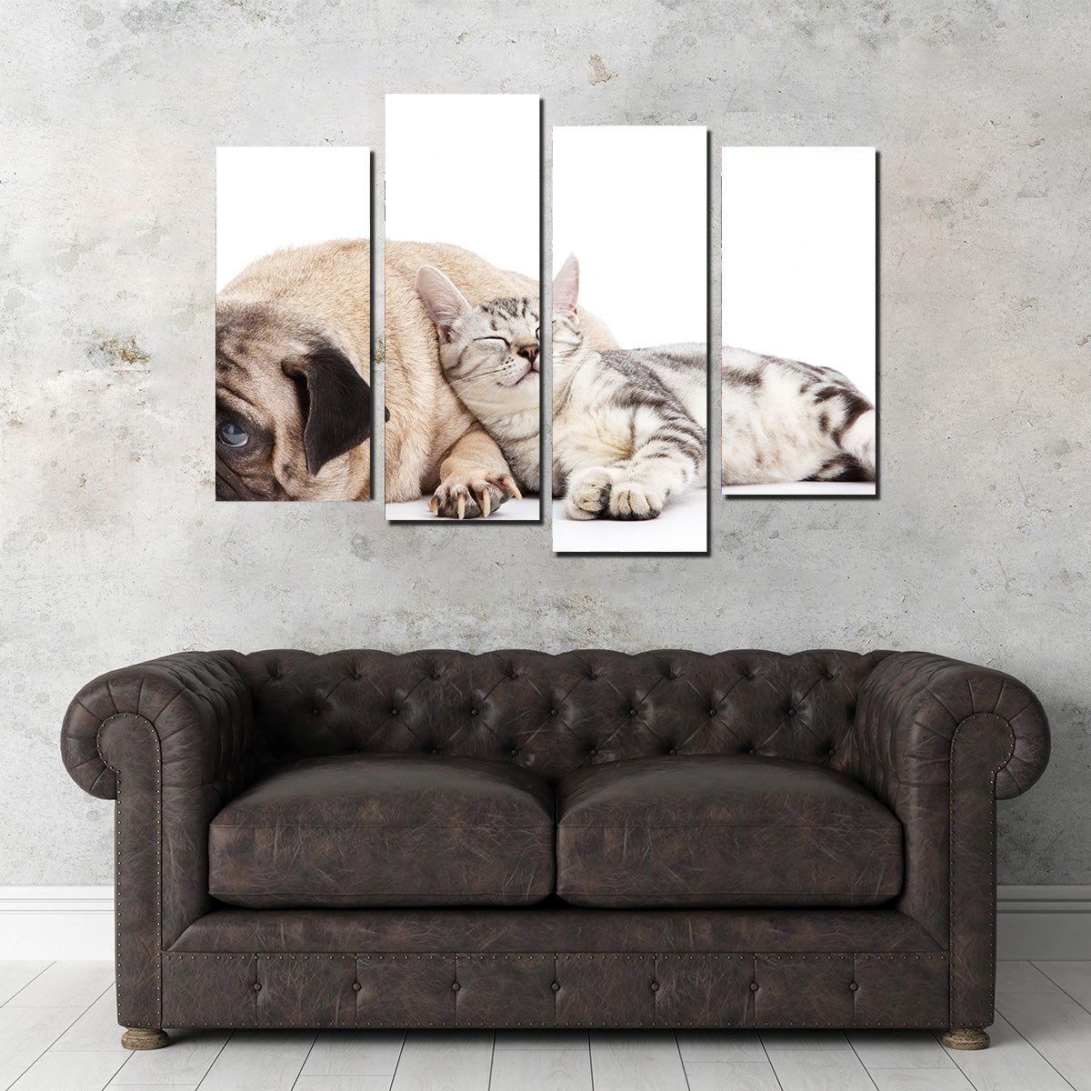 Pug and Cat Wall Art