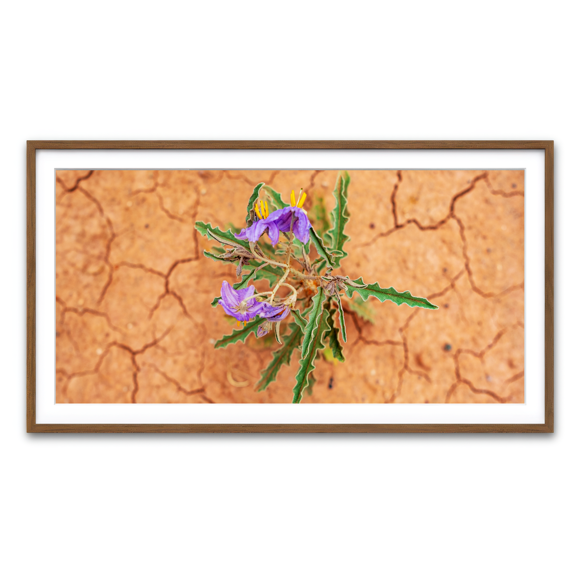 Framed Print 2x1 Walnut