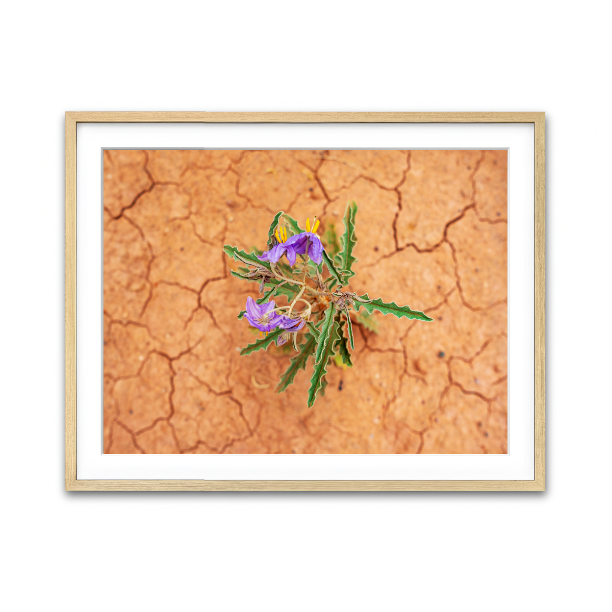 Framed Print 4x3 Natural