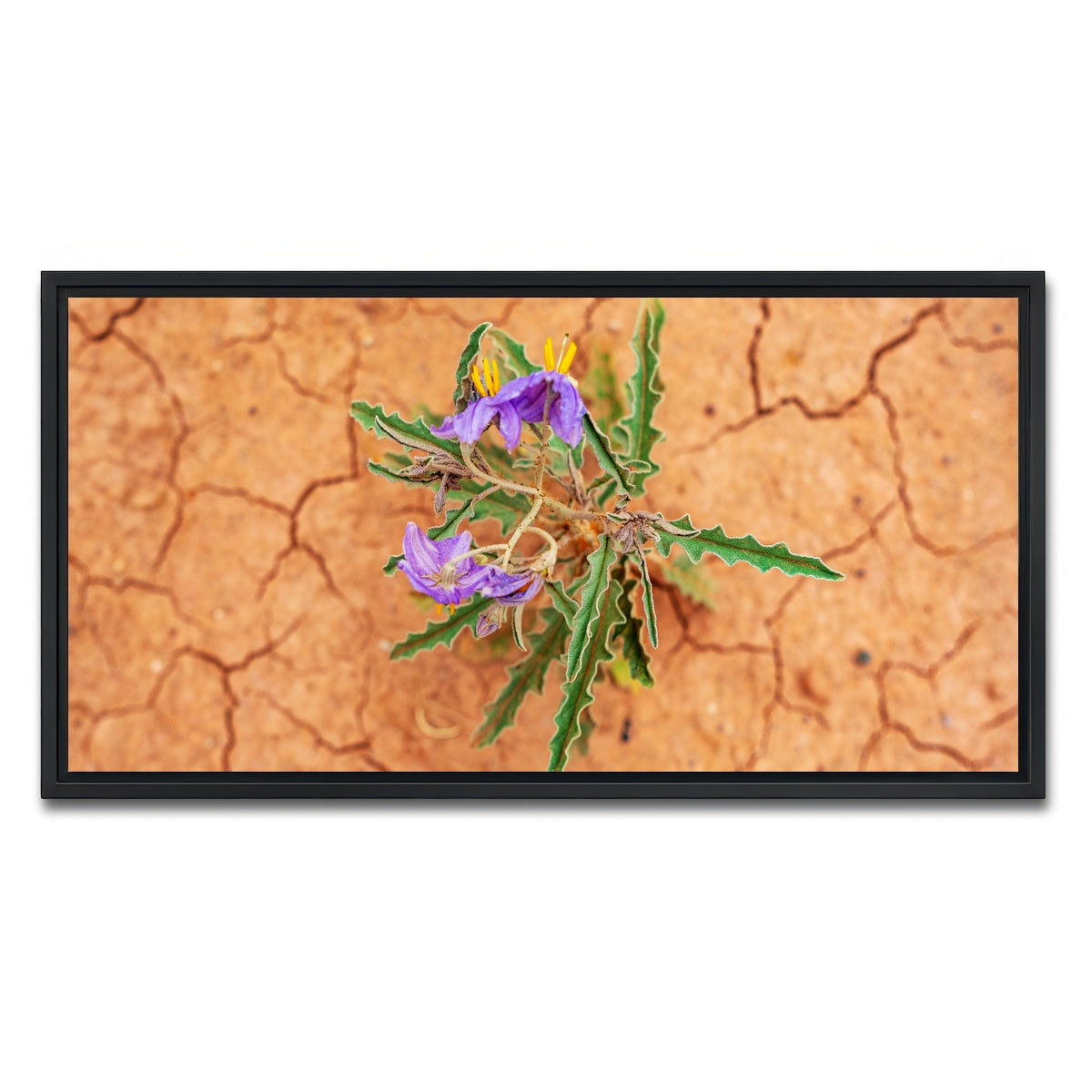 AUTO-MOCKUP WHITE | Purple Desert Wild Flowers | 1 Piece | Black Framed Canvas | group=2x1