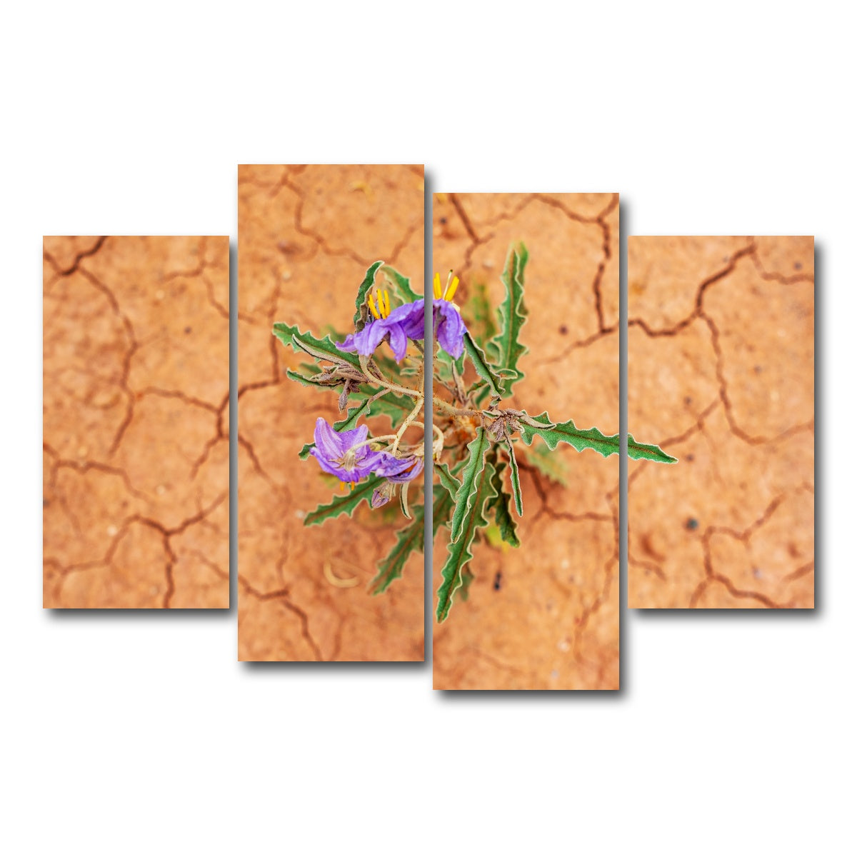 AUTO-MOCKUP WHITE | Purple Desert Wild Flowers | 4 Piece | Gallery Wrap Canvas | group=4_short