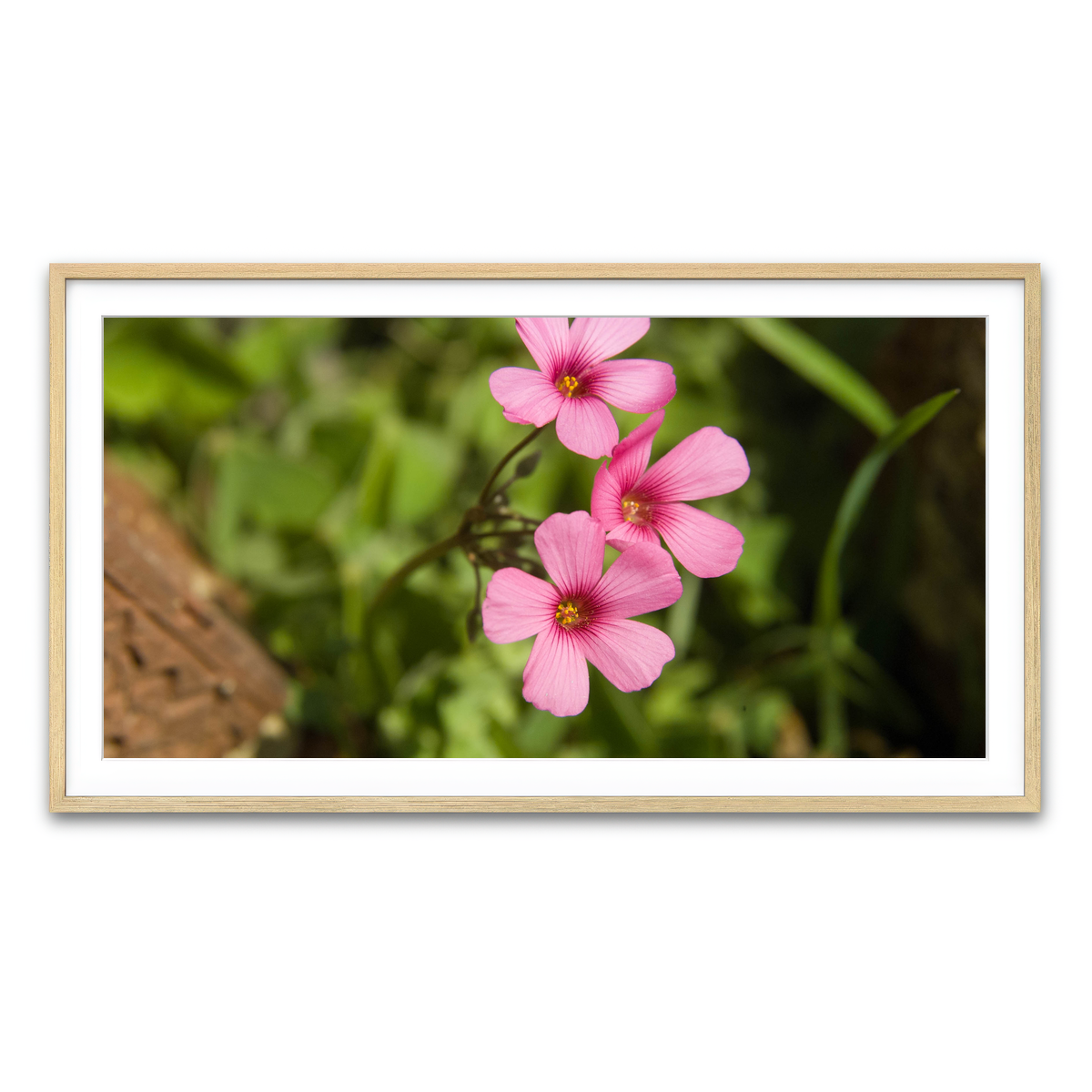 Framed Print 2x1 Natural