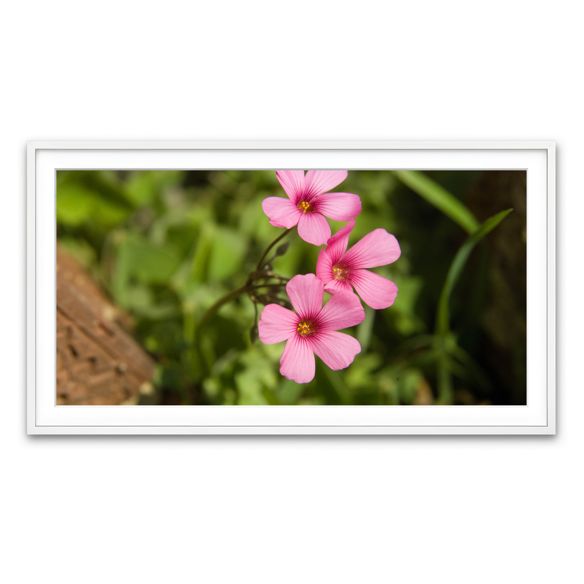 Framed Print 2x1 White