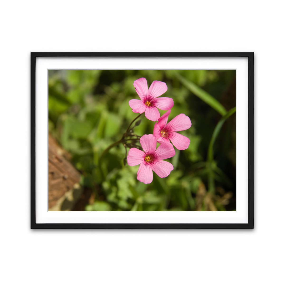 Framed Print 4x3 Black