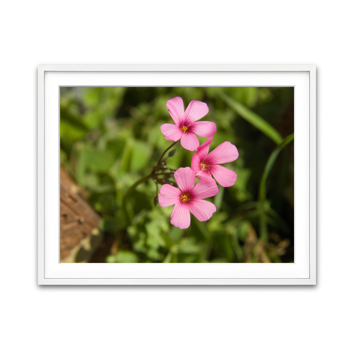 Framed Print 4x3 White