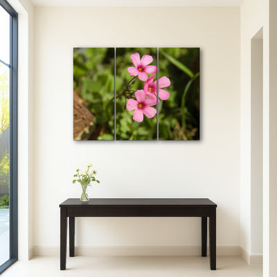 AUTO-MOCKUP ROOM | Purple Wildflower - North Arkansas