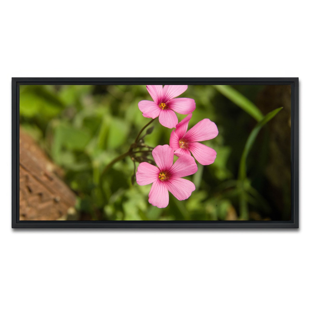 AUTO-MOCKUP WHITE | Purple Wildflower - North Arkansas | 1 Piece | Black Framed Canvas | group=2x1