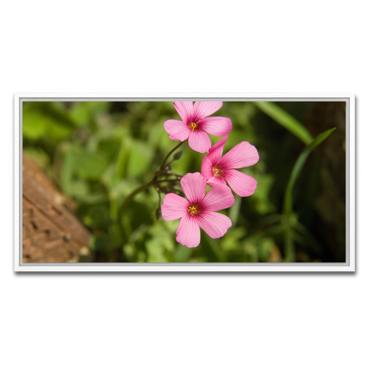 AUTO-MOCKUP WHITE | Purple Wildflower - North Arkansas | 1 Piece | White Framed Canvas | group=2x1