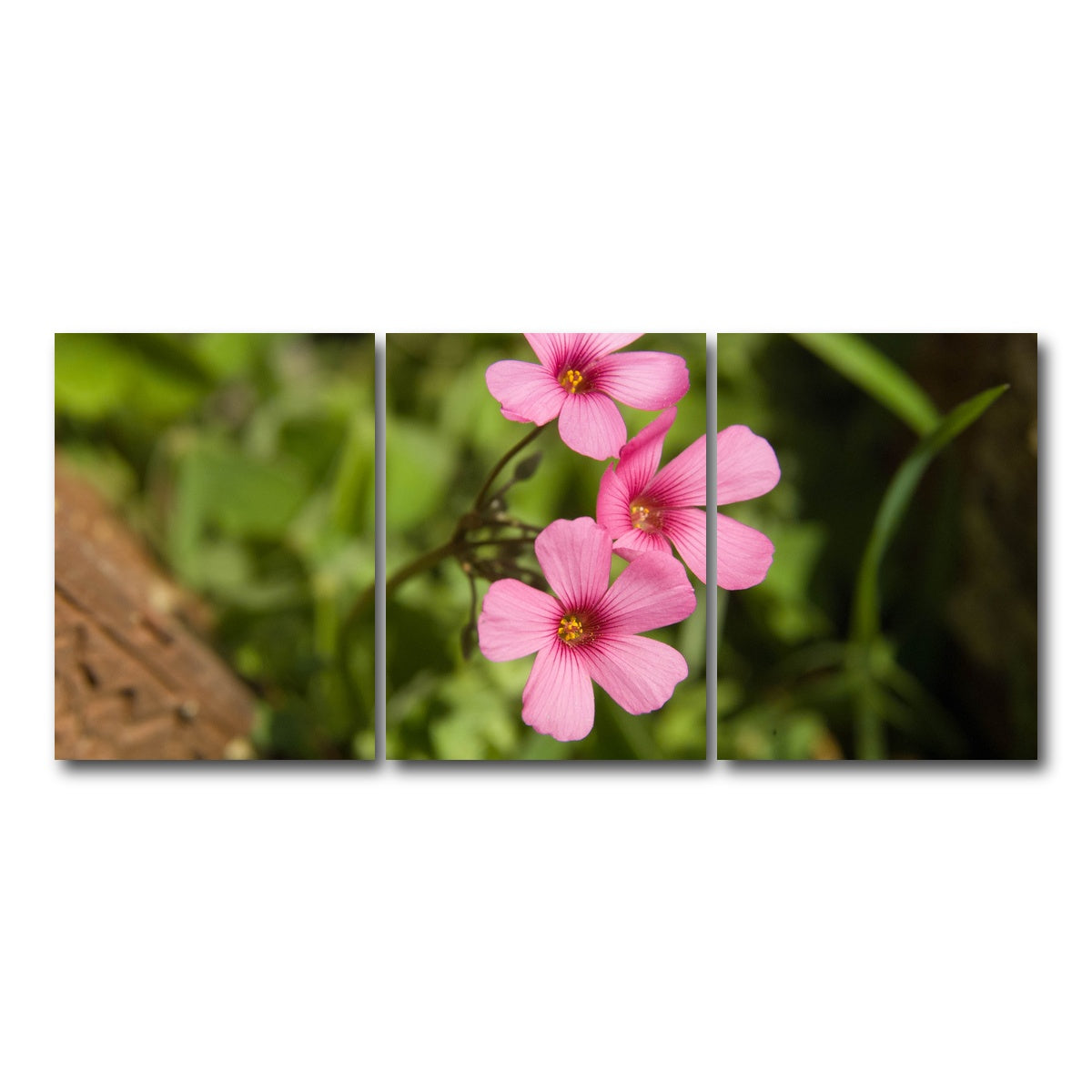 AUTO-MOCKUP WHITE | Purple Wildflower - North Arkansas | 3 Piece | Gallery Wrap Canvas | group=18x24