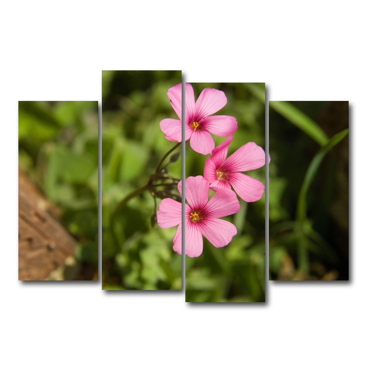 AUTO-MOCKUP WHITE | Purple Wildflower - North Arkansas | 4 Piece | Gallery Wrap Canvas | group=4_normal