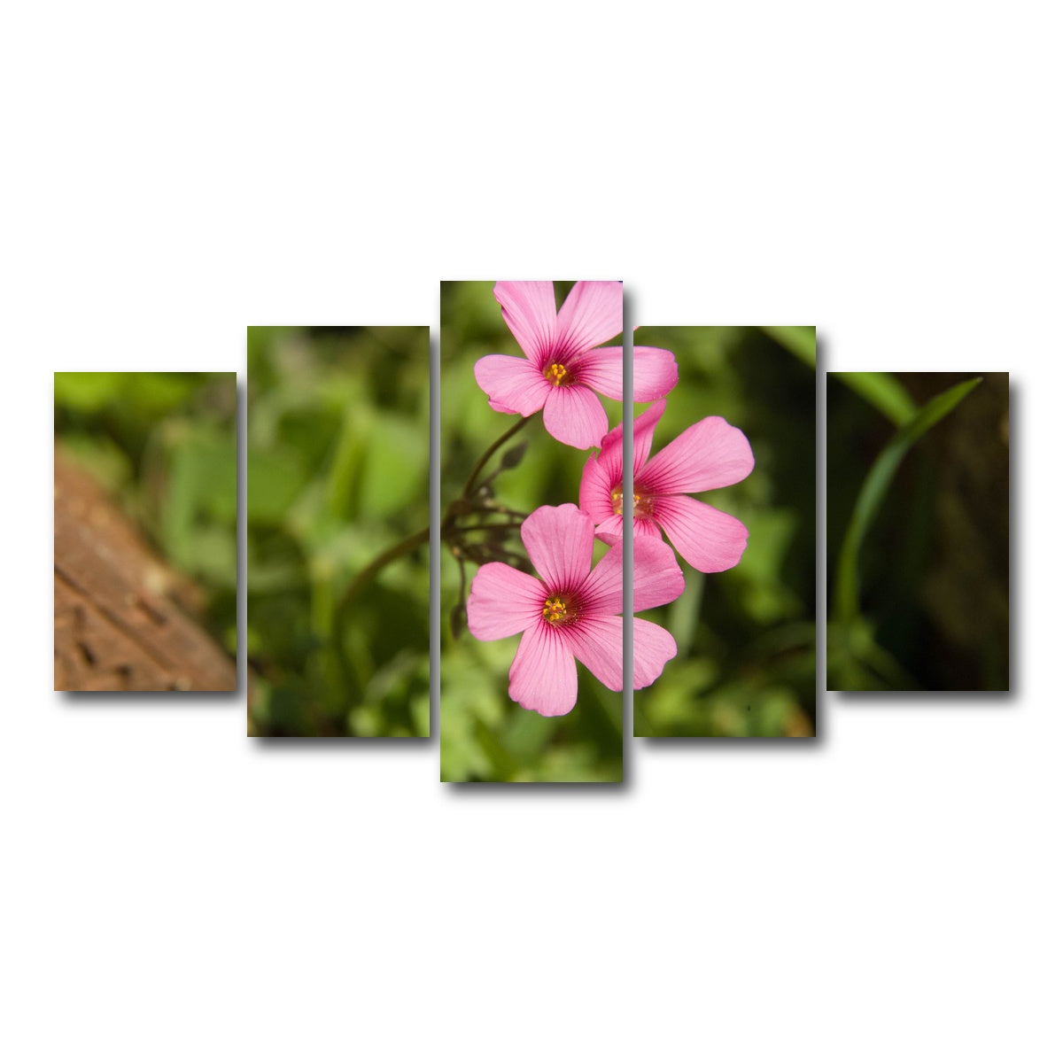 AUTO-MOCKUP WHITE | Purple Wildflower - North Arkansas | 5 Piece | Gallery Wrap Canvas | group=5_normal
