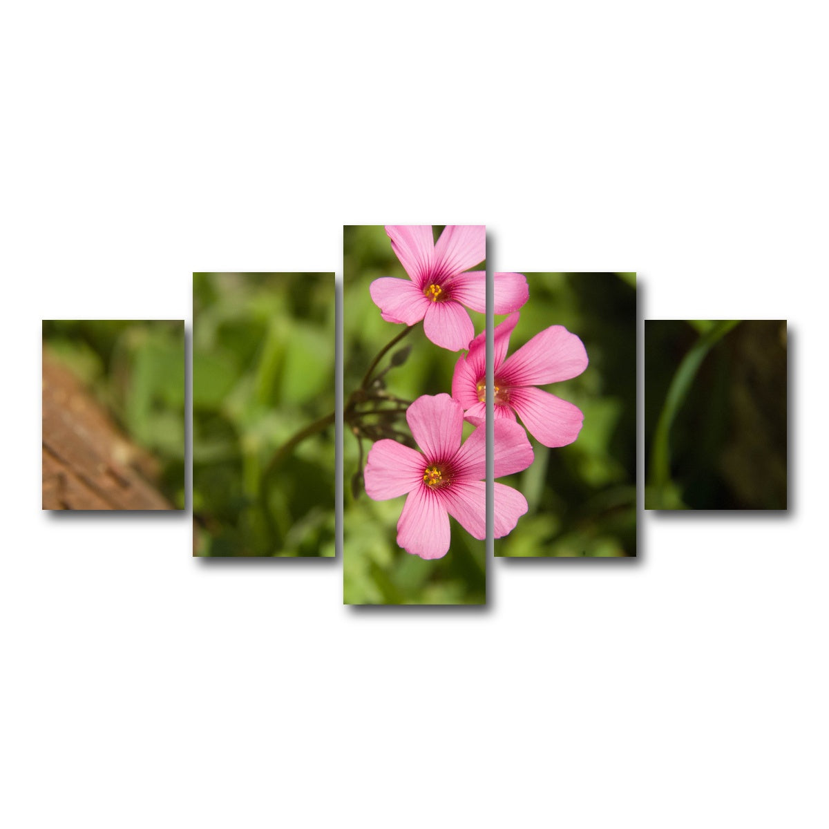 AUTO-MOCKUP WHITE | Purple Wildflower - North Arkansas | 5 Piece | Gallery Wrap Canvas | group=5_short