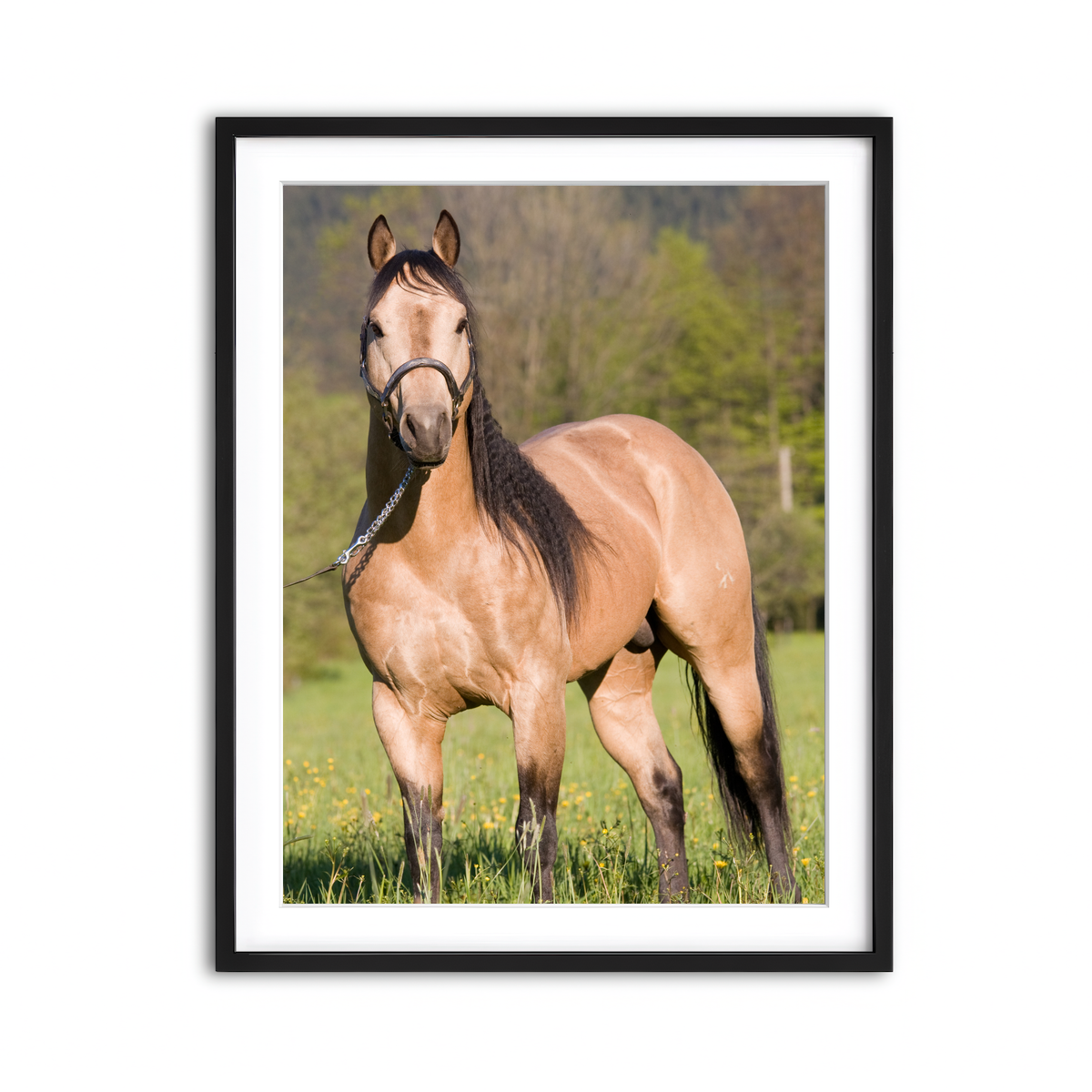 Framed Print 3x4 Black