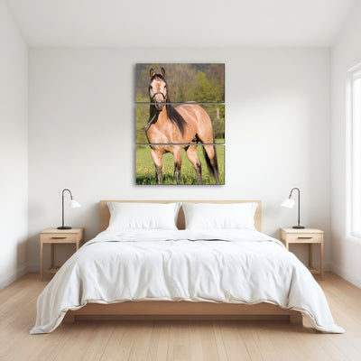 AUTO-MOCKUP ROOM | Quarter Horse Posing