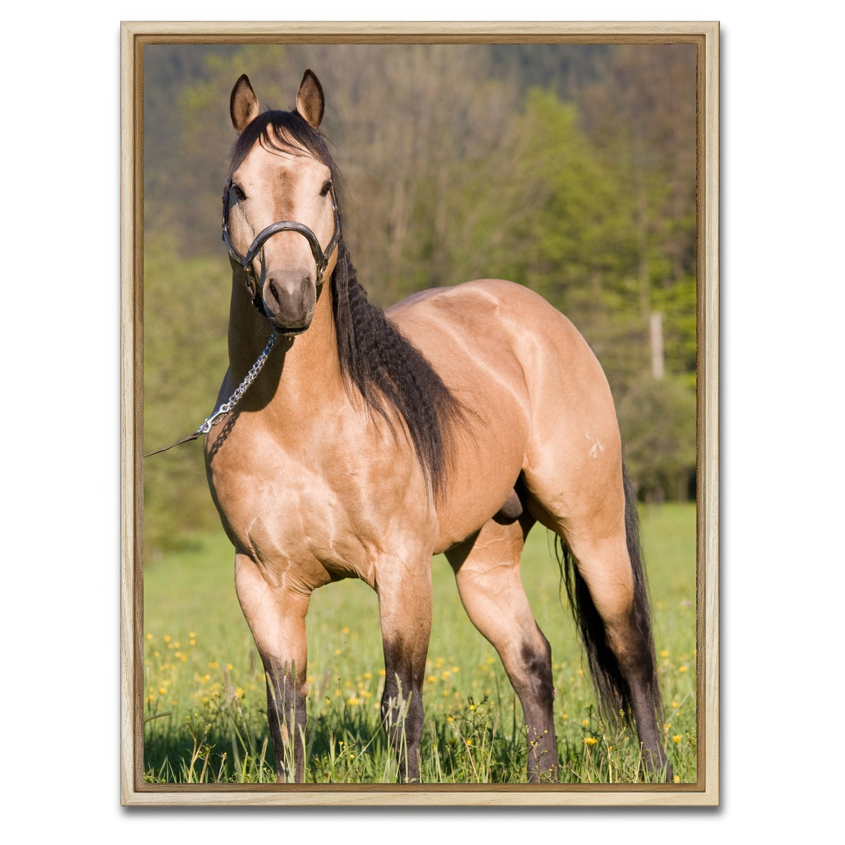 AUTO-MOCKUP WHITE | Quarter Horse Posing | 1 Piece | Natural Framed Canvas | group=3x4