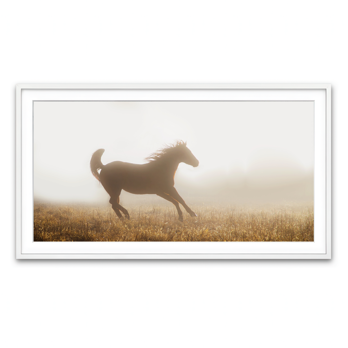 Framed Print 2x1 White