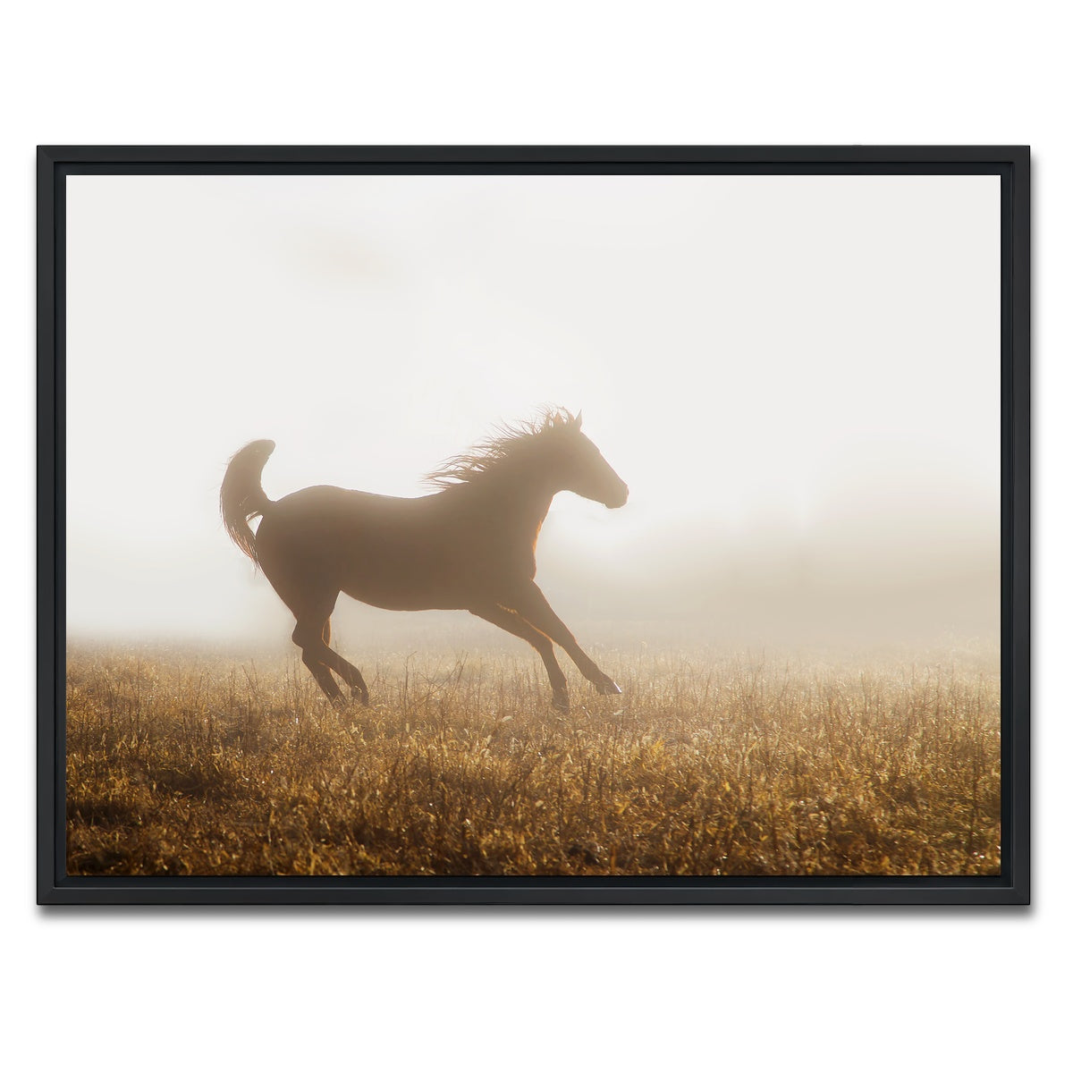 AUTO-MOCKUP WHITE | Quarter Horse Running in Fog | 1 Piece | Black Framed Canvas | group=4x3