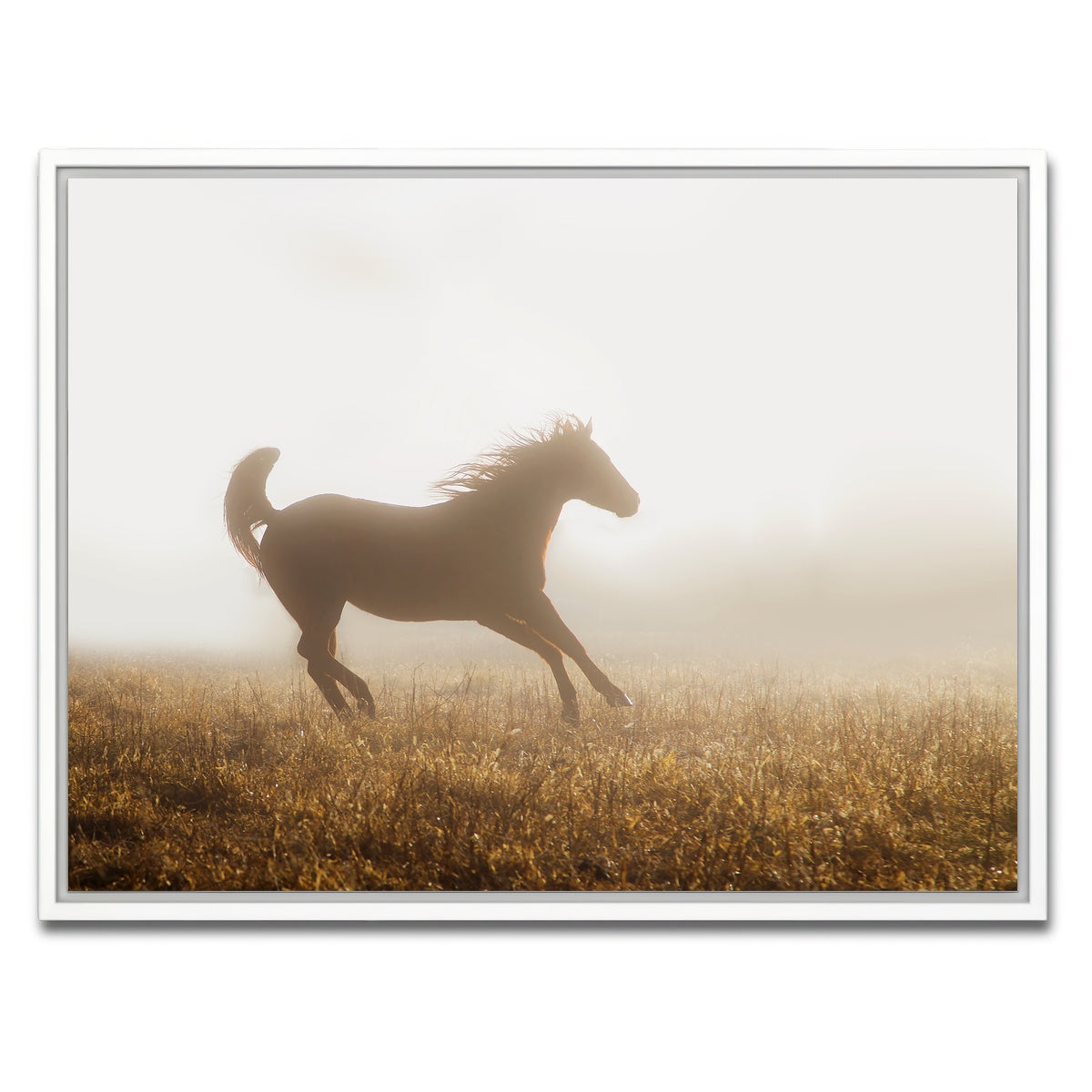 AUTO-MOCKUP WHITE | Quarter Horse Running in Fog | 1 Piece | White Framed Canvas | group=4x3
