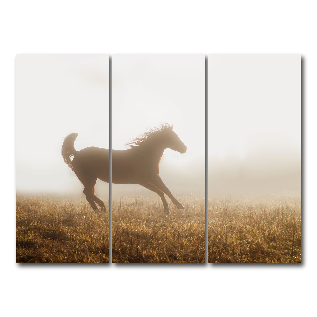 AUTO-MOCKUP WHITE | Quarter Horse Running in Fog | 3 Piece | Gallery Wrap Canvas | group=8x18