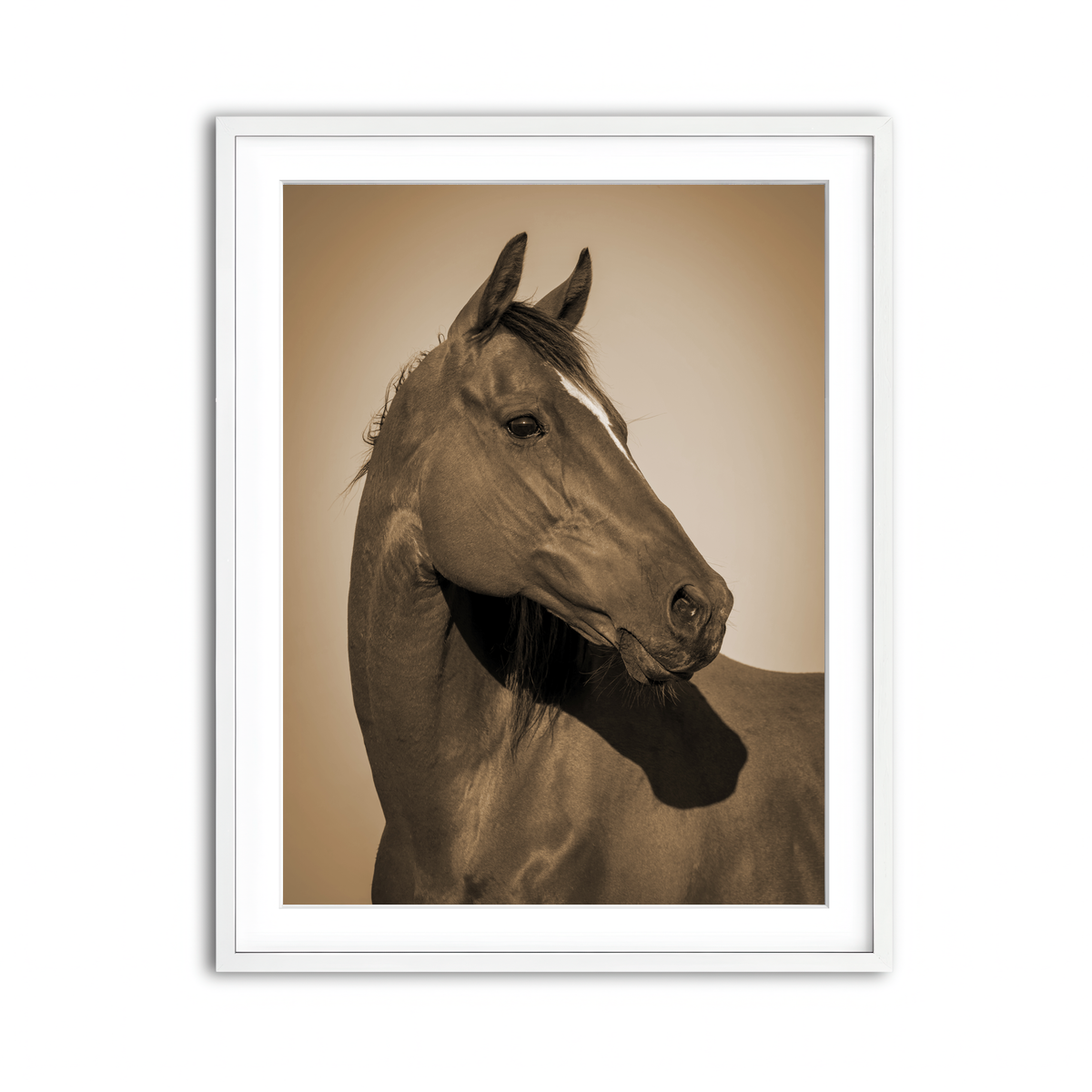 Framed Print 3x4 White