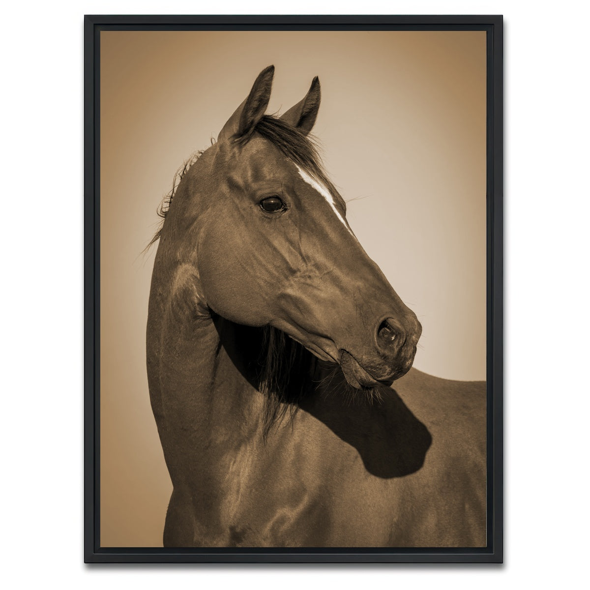 AUTO-MOCKUP WHITE | Quarter Horse | 1 Piece | Black Framed Canvas | group=3x4