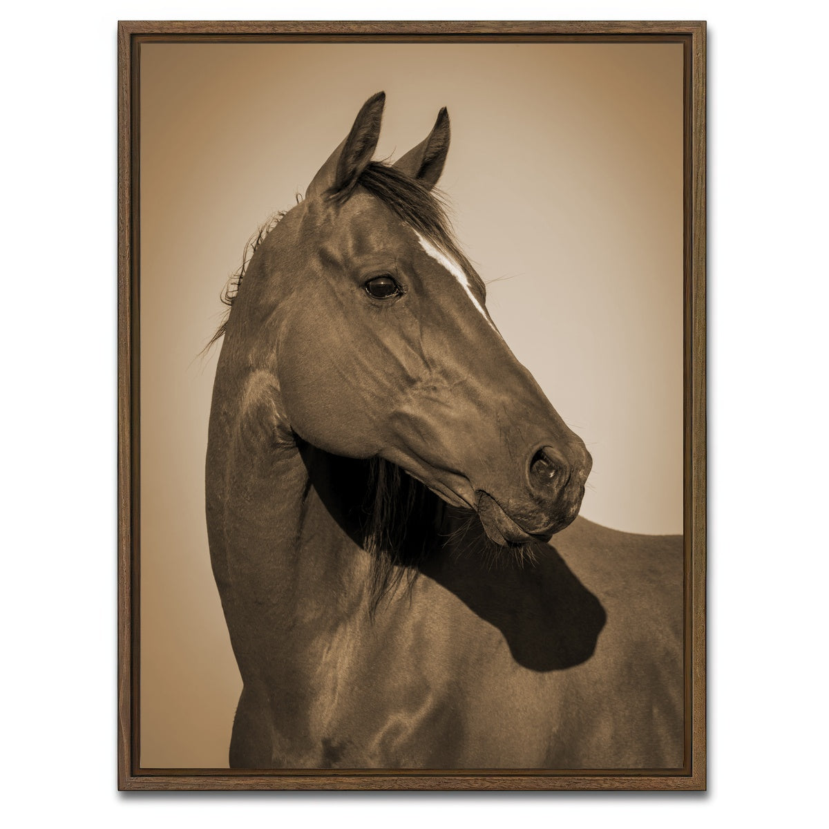 AUTO-MOCKUP WHITE | Quarter Horse | 1 Piece | Walnut Framed Canvas | group=3x4
